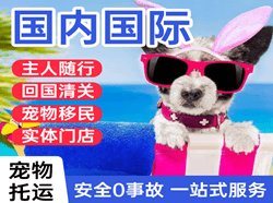 三女河机场物流国际宠物托运 【国